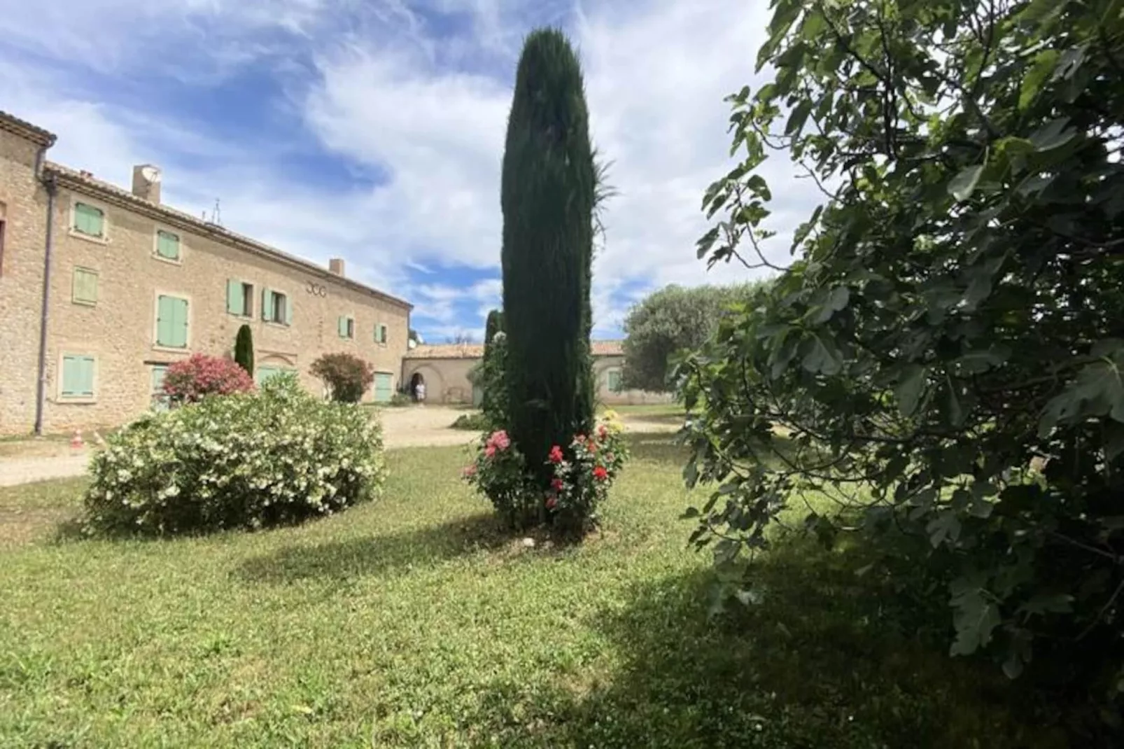 Magnifique Appartement Au C&oelig;ur Des Champs De Lavande - 6 - 7 Personnes-Non tagué