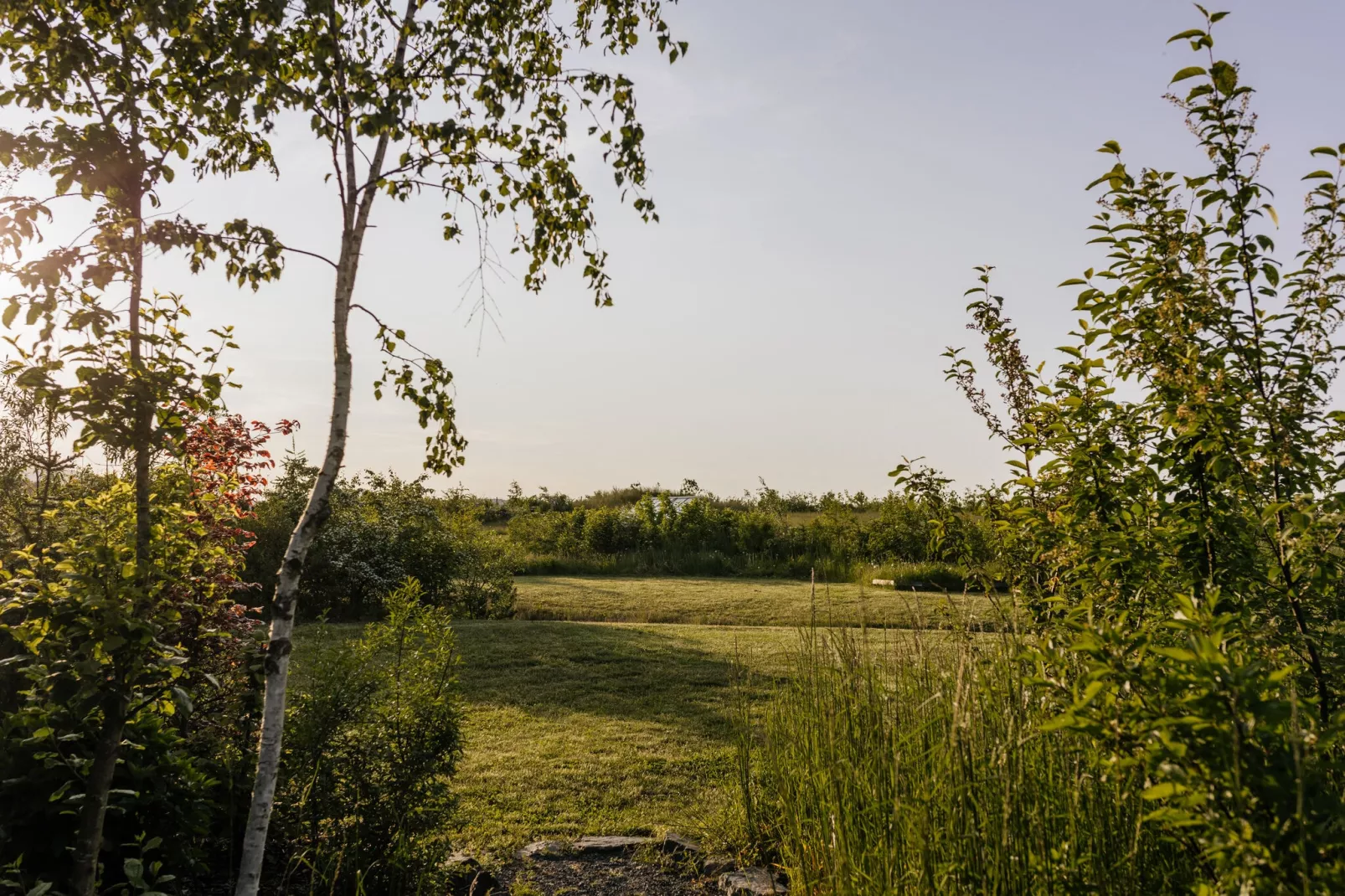 EcoLodge Sauerland 2-Areas summer 1km