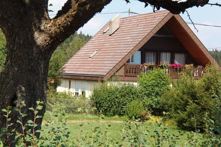 Niedereschach-Exterior summer