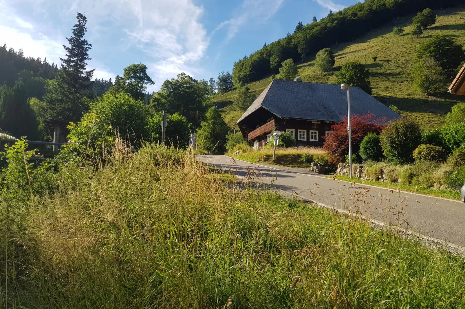 Brandenberg-Areas summer 1km