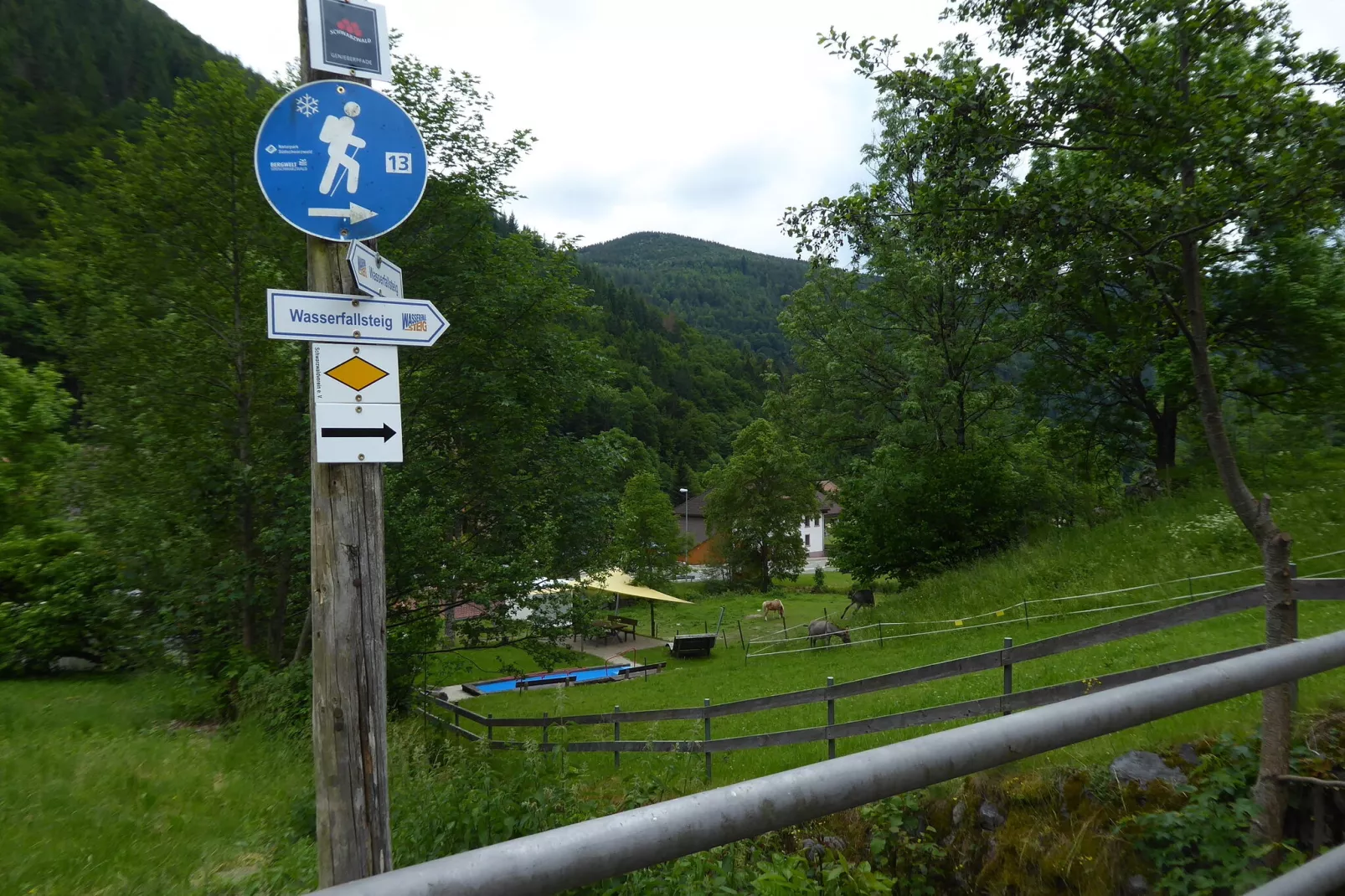 Brandenberg-Areas summer 1km