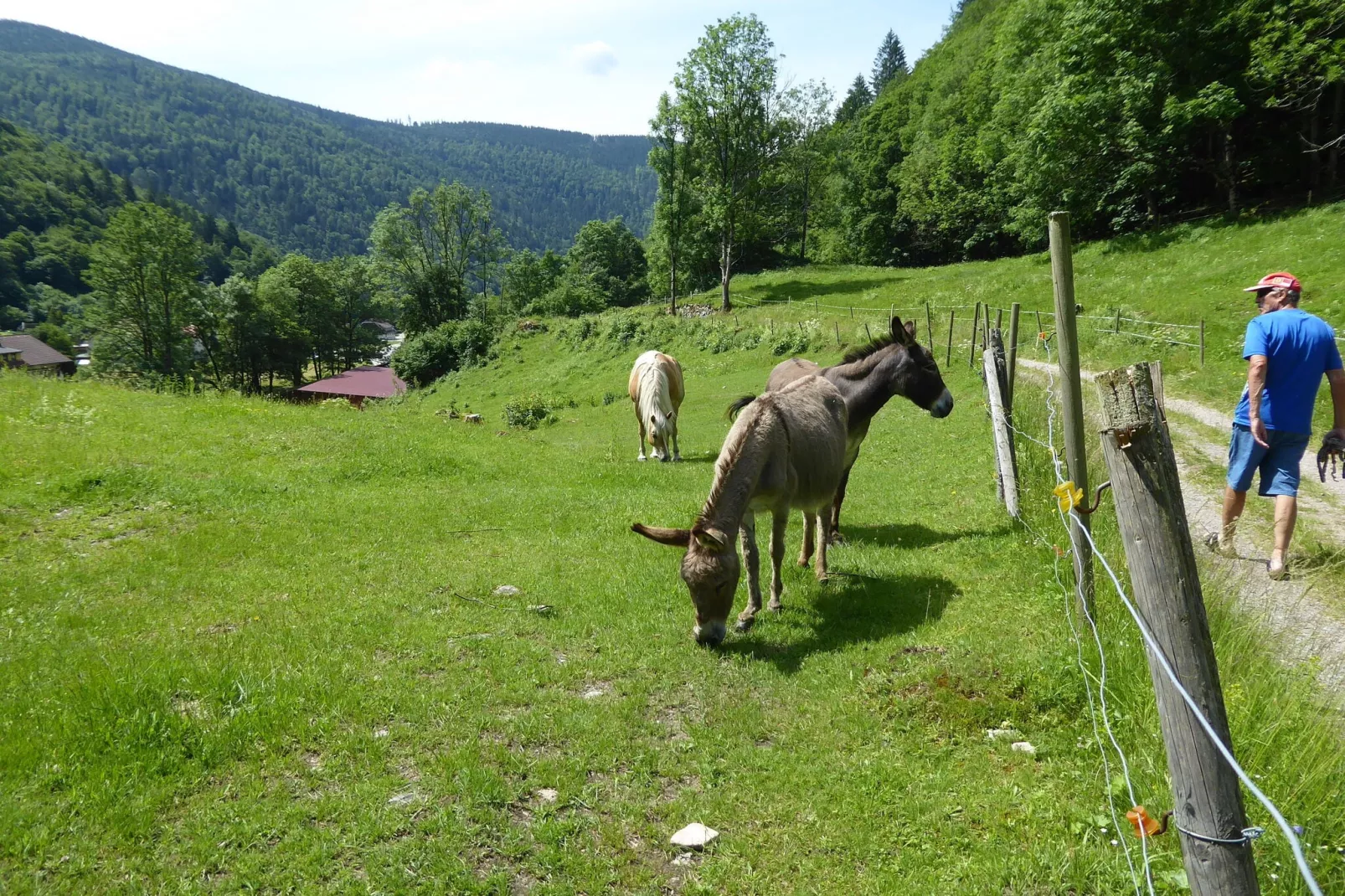 Brandenberg-Areas summer 5km