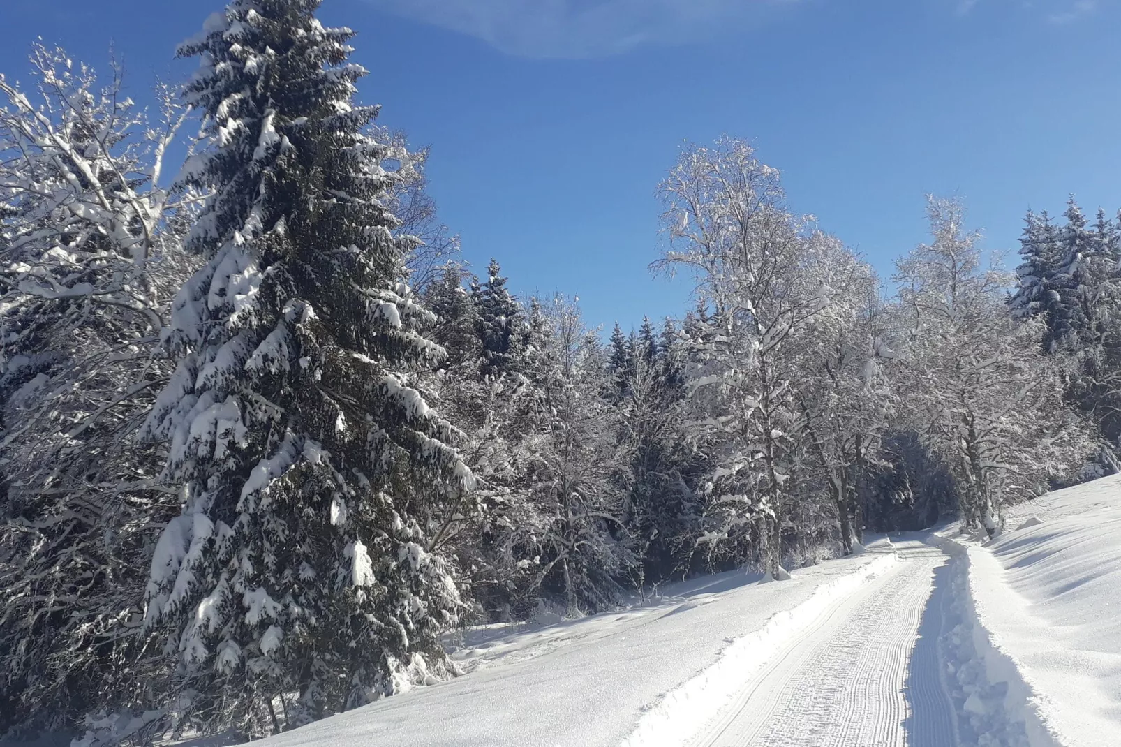 Altes Forsthaus-Gebiete Sommer 1 km
