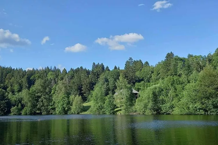 Altes Forsthaus-Gebiete Sommer 1 km