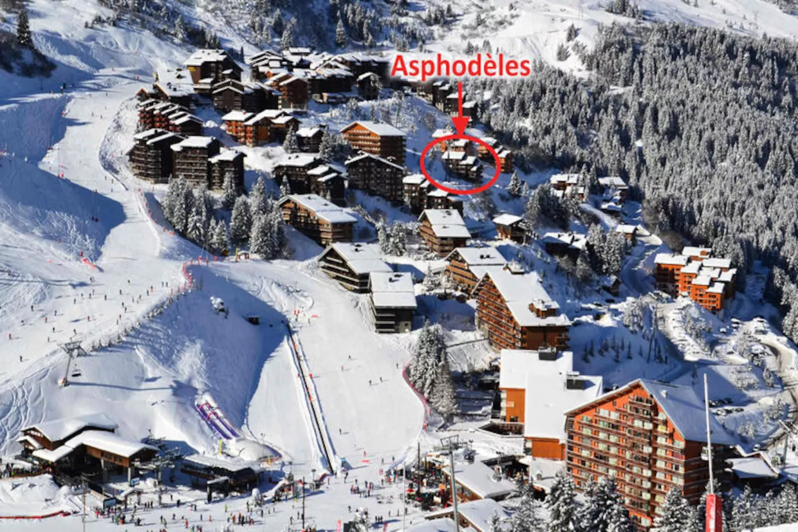 Résidence Asphodeles-Untagged