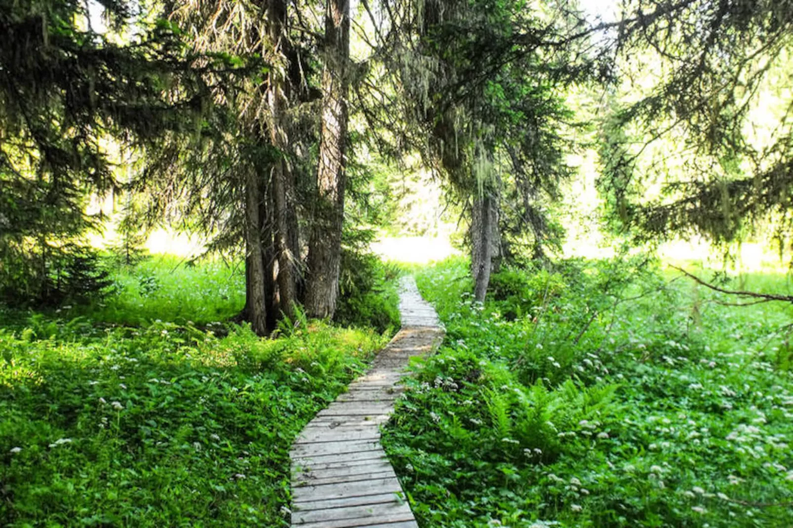 Résidence Les Adrelles-Non tagué