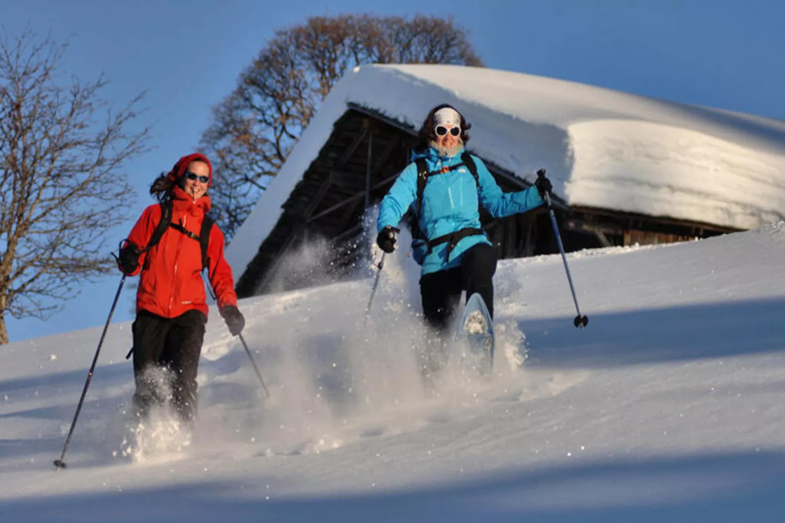 Chalet Le Buset-Non tagué