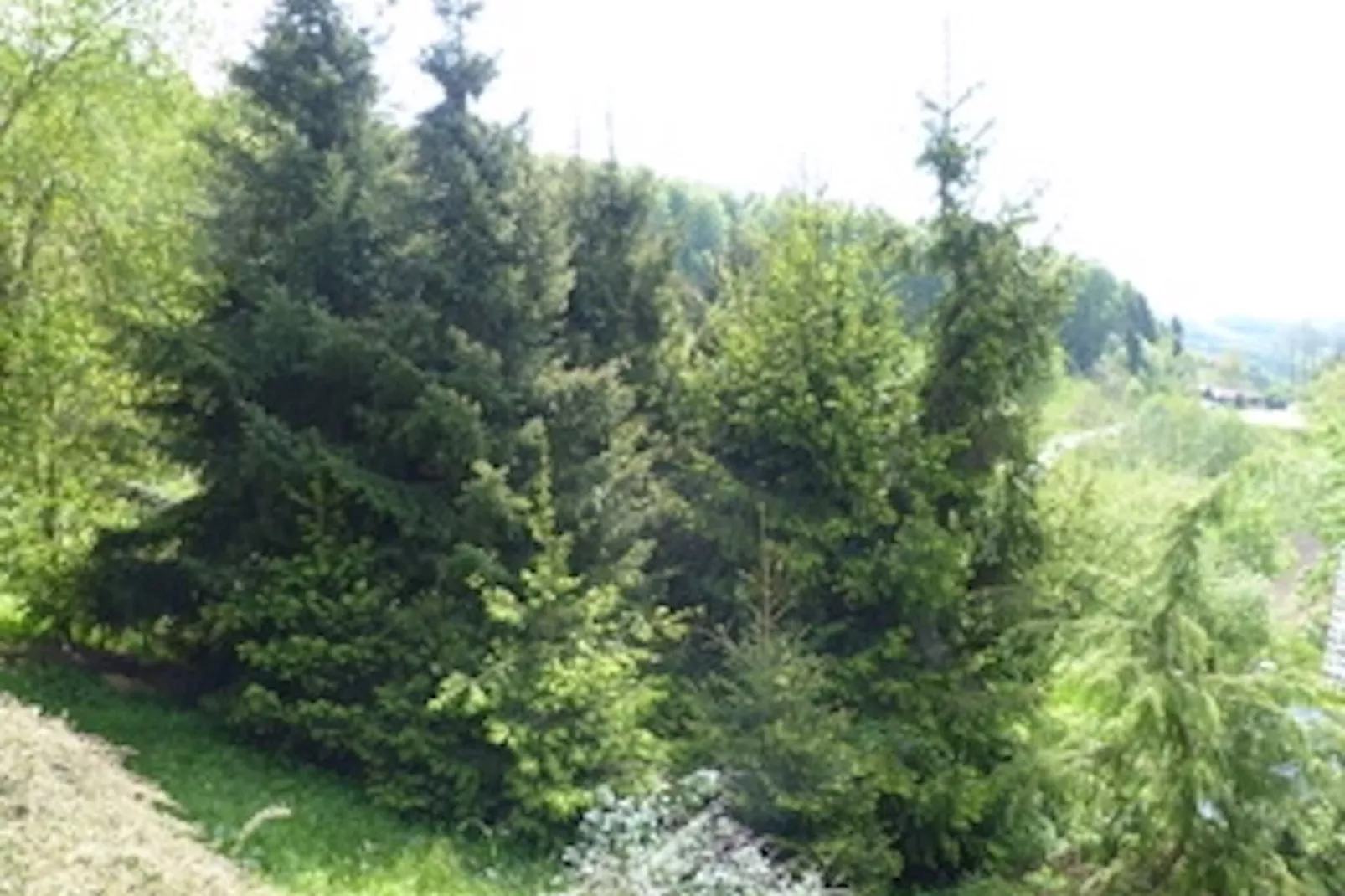 Ferienwohnung Zenting-View summer