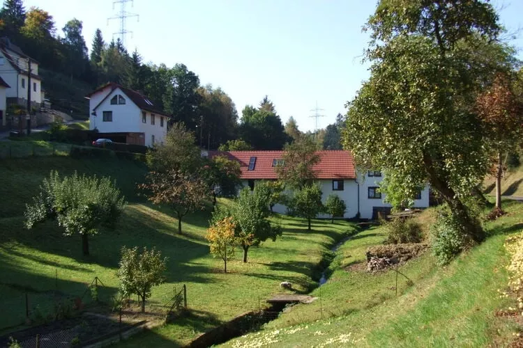 Landferienhof Schmidt-Gärten Sommer