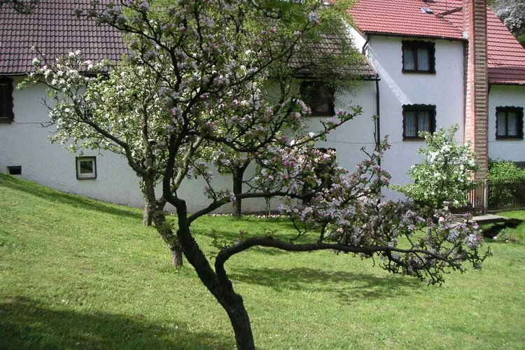Landferienhof Schmidt-Gebiete Sommer 1 km