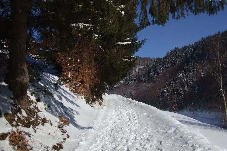 Landferienhof Schmidt-Gebiet Winter 1 km