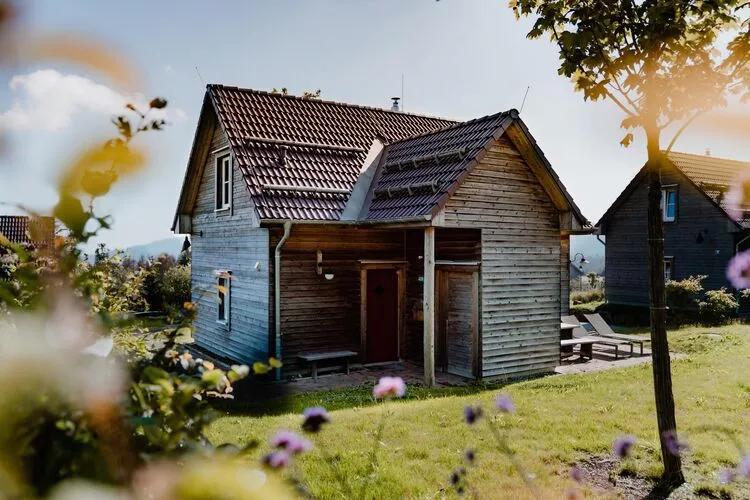 Ferienhaus Typ Premium Lodge Plus 4 Personen-Exterior summer