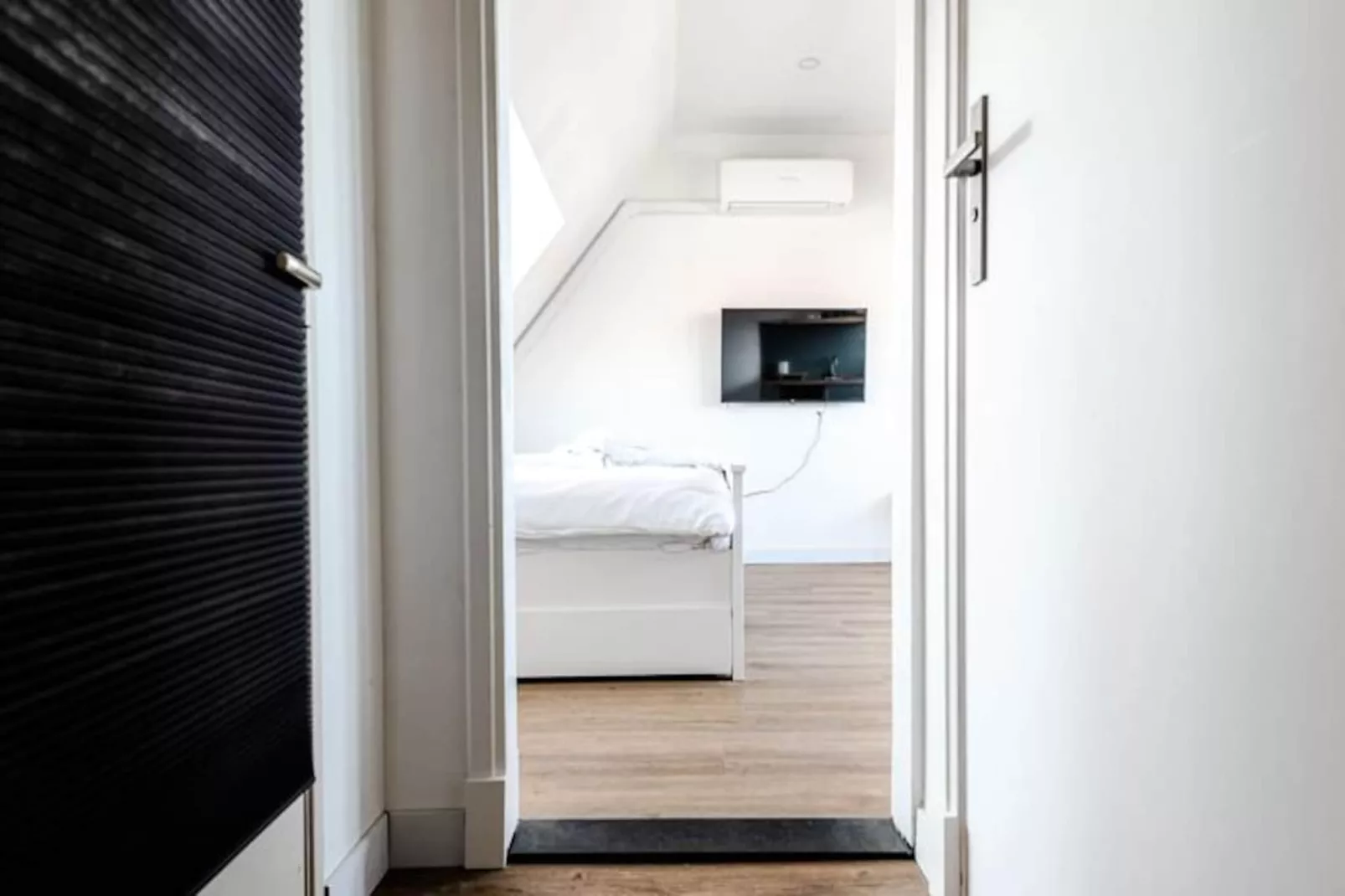 Albatros Aan Zee - Studio-Non tagué