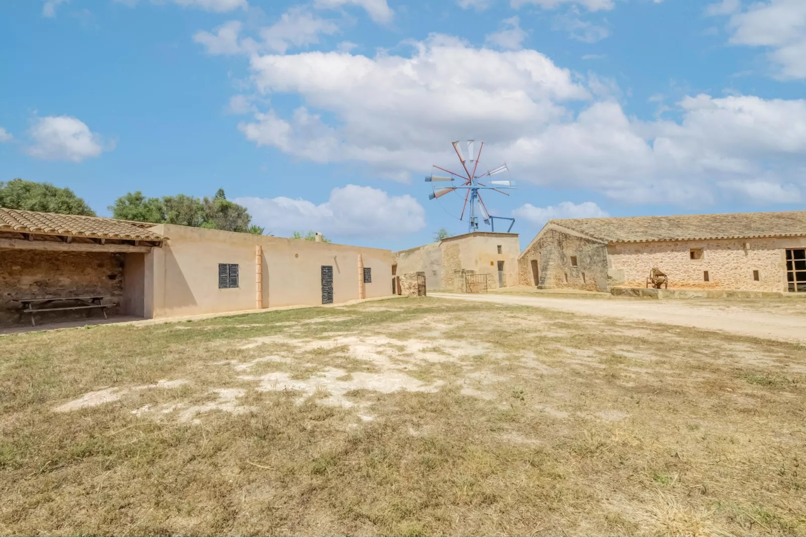 Gallinero-Exterior in summer