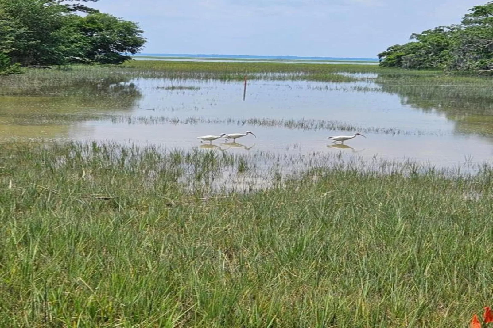 Résidence La Clé des Cimes 4-S8-Areas within 20km in summer