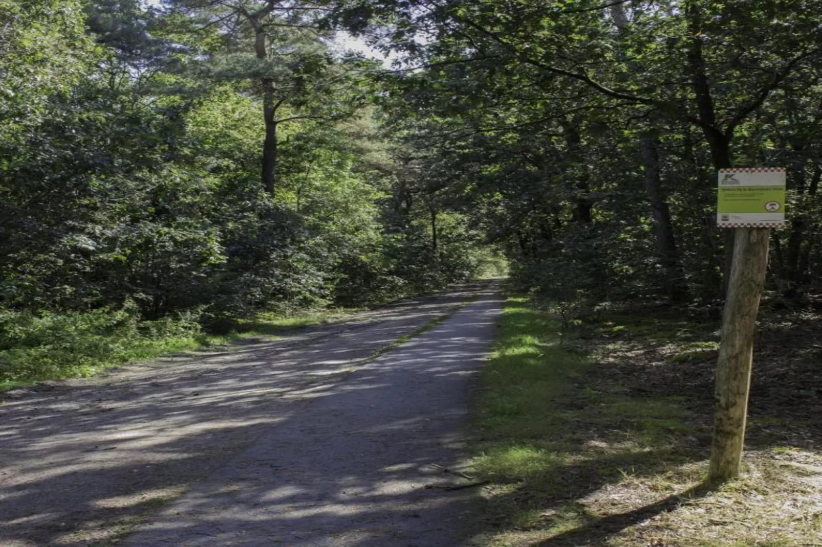 Vakantiepark Latour 5-Areas within 20km in summer