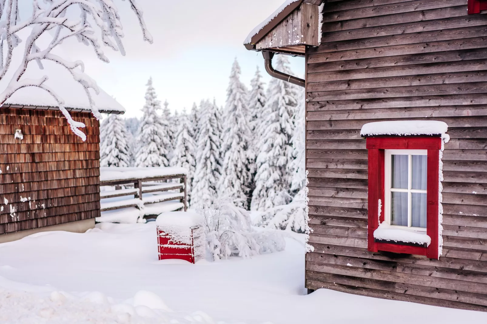 Premium Lodge Plus 4 Erw 2 Kinder-Exterior winter