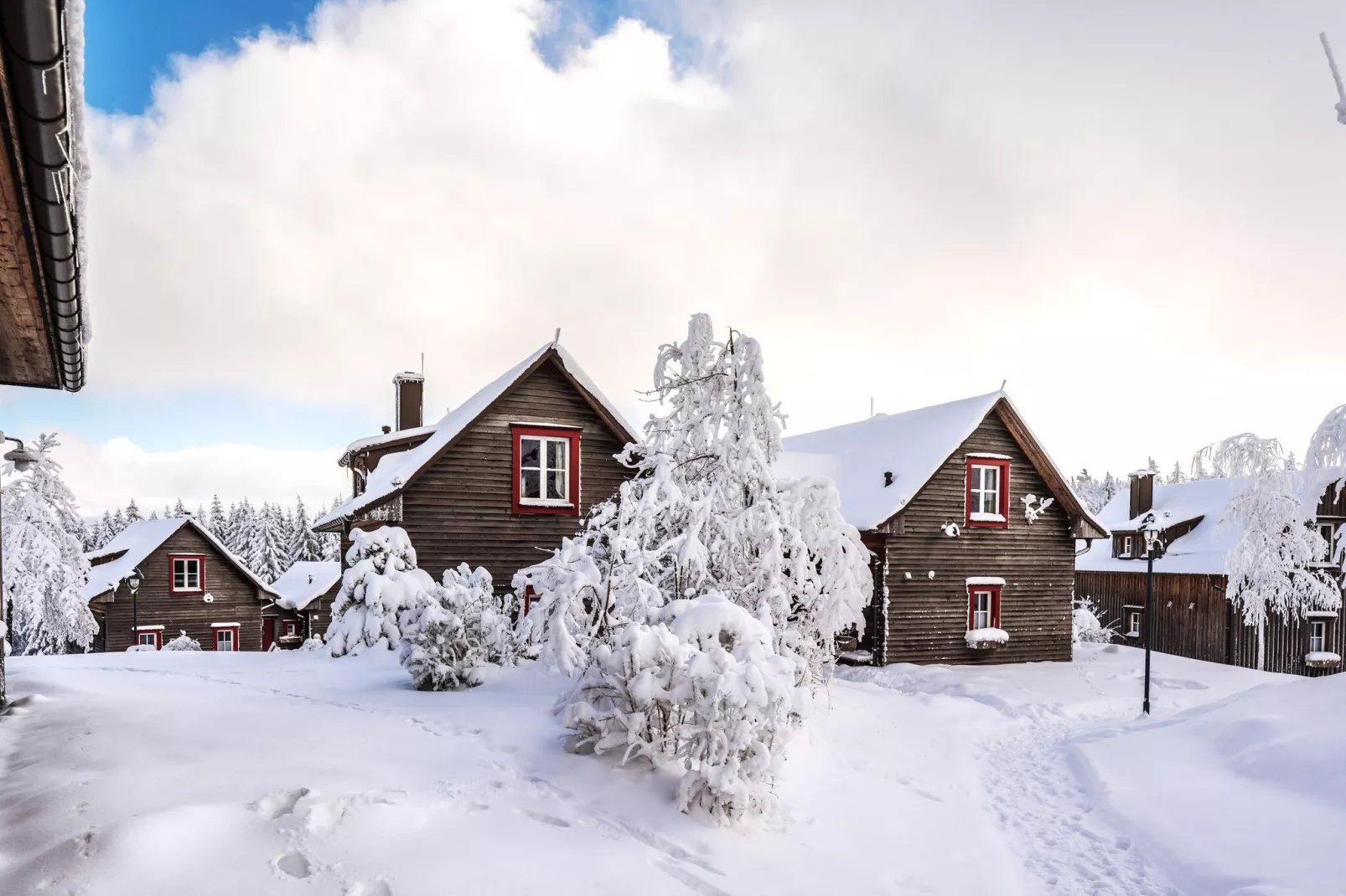 Premium Lodge Plus 4 Erw 2 Kinder-Exterior winter