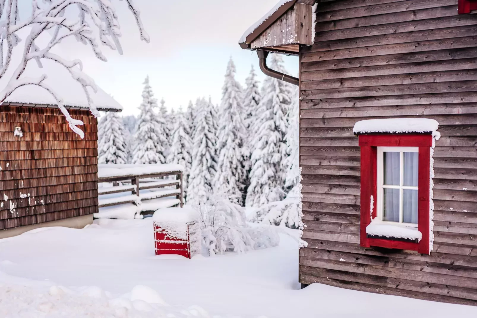 Ferienhaus Typ Premium Lodge 4 Personen-Extérieur hiver