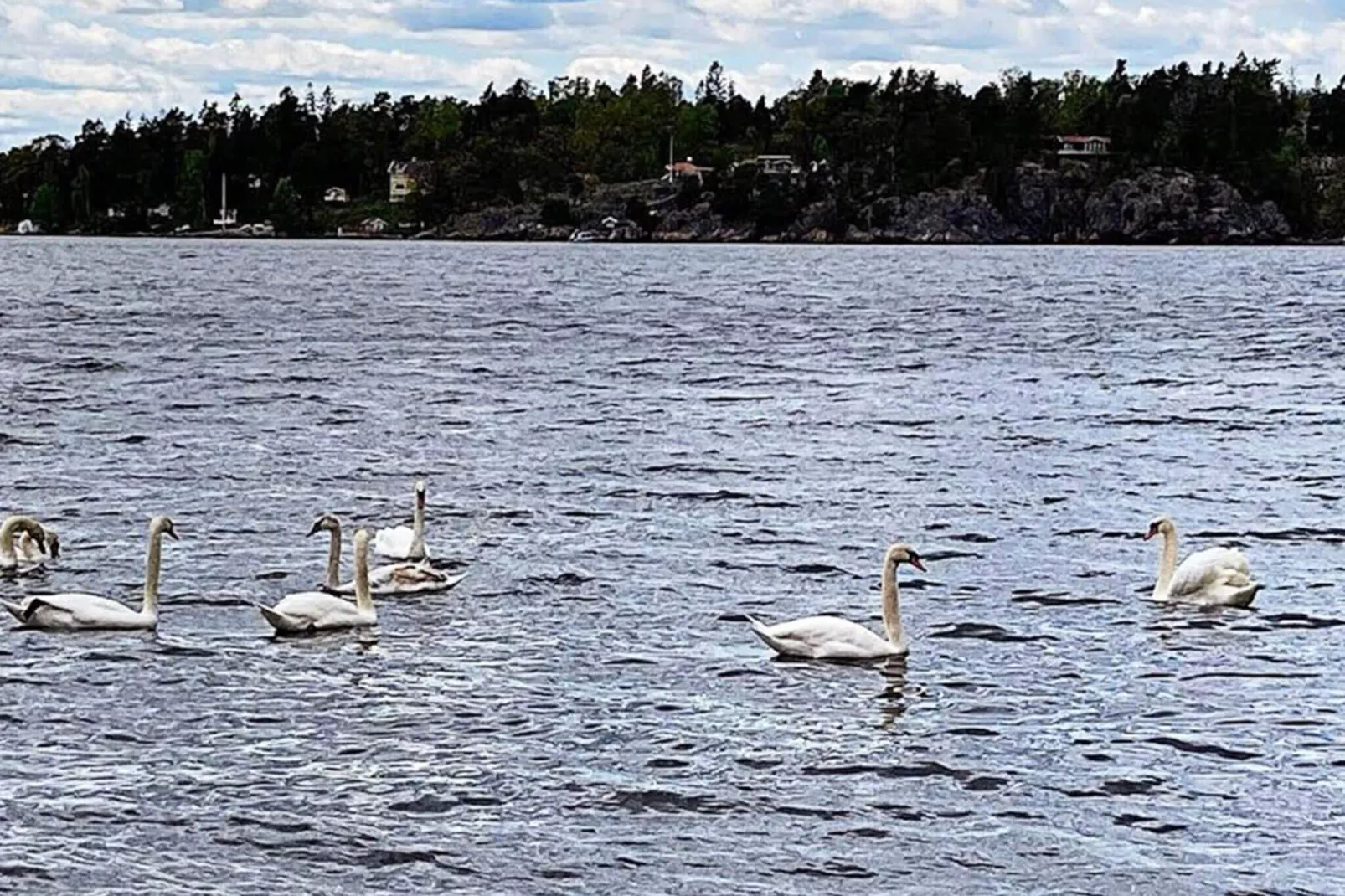4 Personen Ferienhaus in VÄRMDÖ-By Traum-Nicht getaggt
