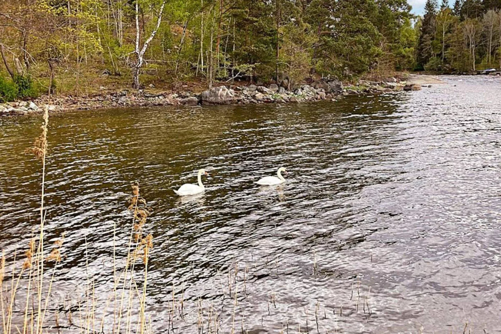 4 Personen Ferienhaus in VÄRMDÖ-By Traum-Nicht getaggt