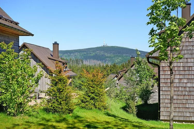 Ferienhaus Typ Premium Lodge 4 Erw 2 Kinder-View summer