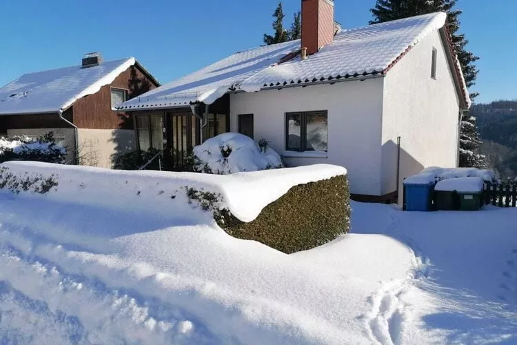 Ferienhaus 120 qm-Exterior winter