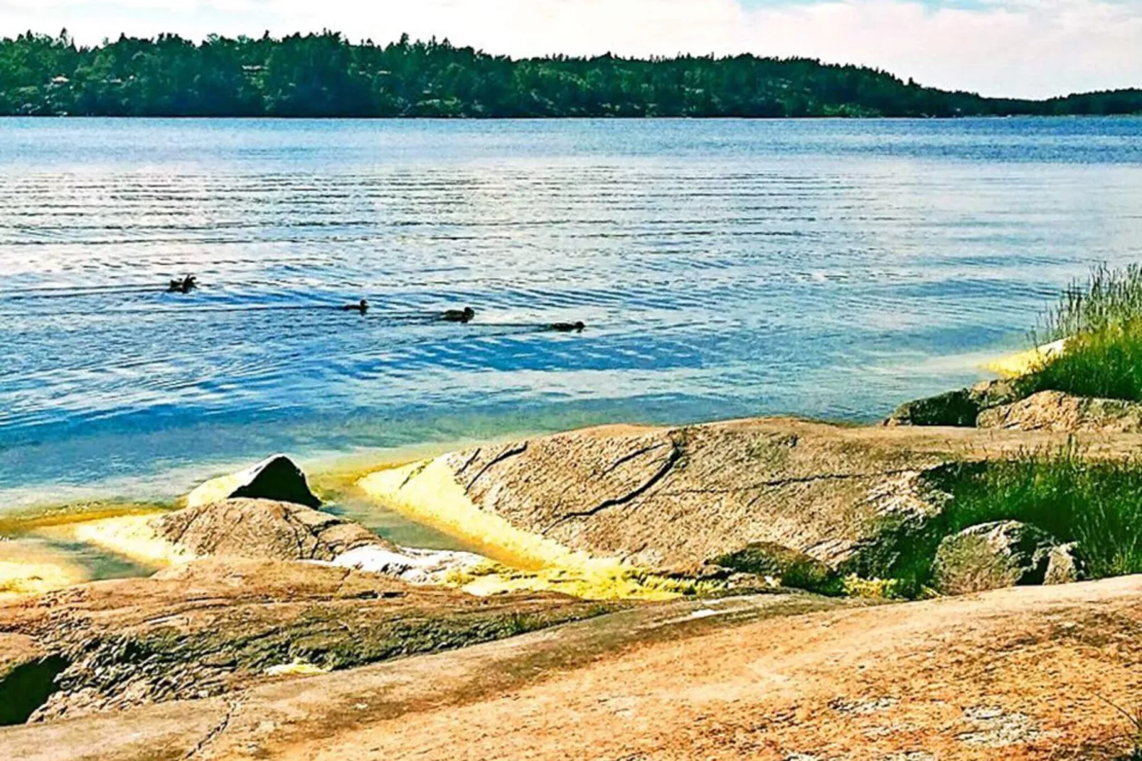 4 Personen Ferienhaus in VÄRMDÖ-By Traum-Nicht getaggt