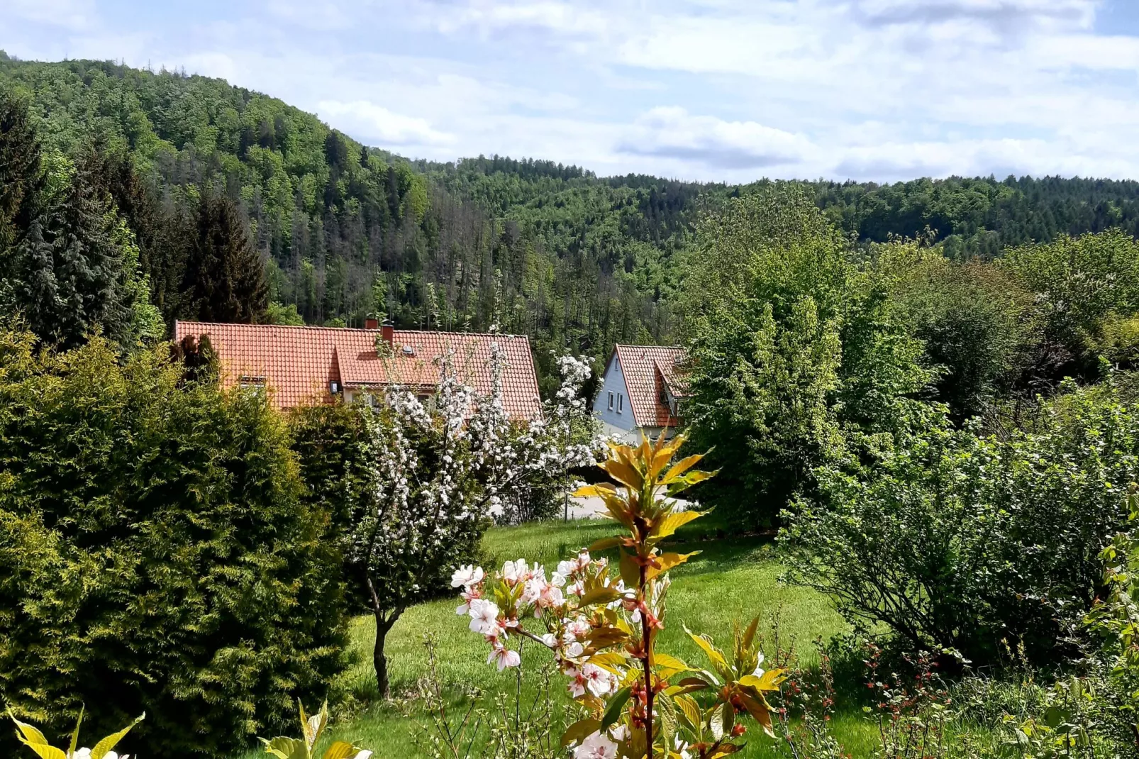 Ferienhaus 120 qm-Areas summer 5km