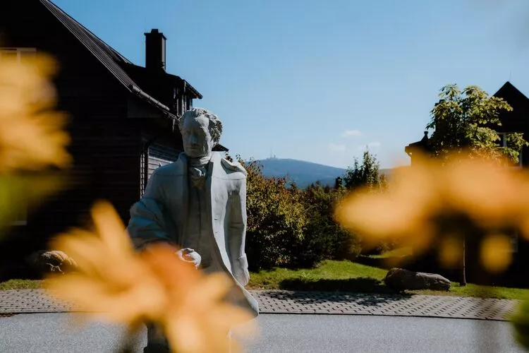 Exklusive Lodge 7  Personen-Gardens summer