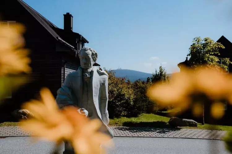 Exklusive Lodge 8  Personen-Gardens summer
