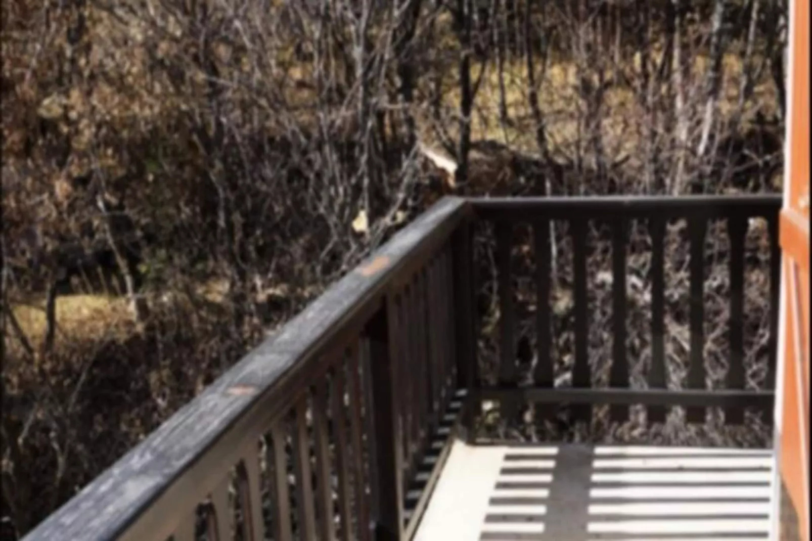 Résidence Le Belvédère-Non tagué