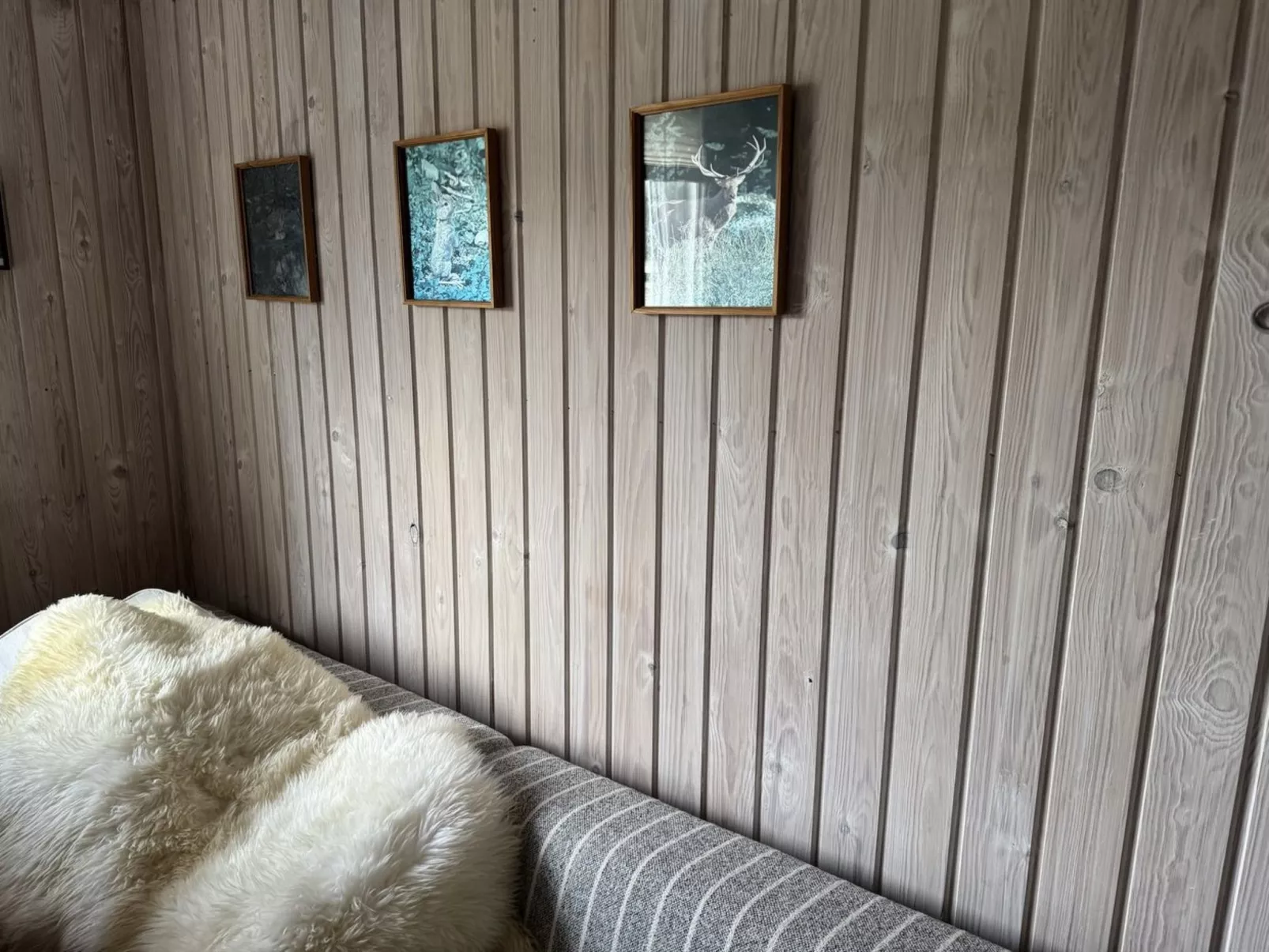 "Kalle" -  from the sea-Dedans