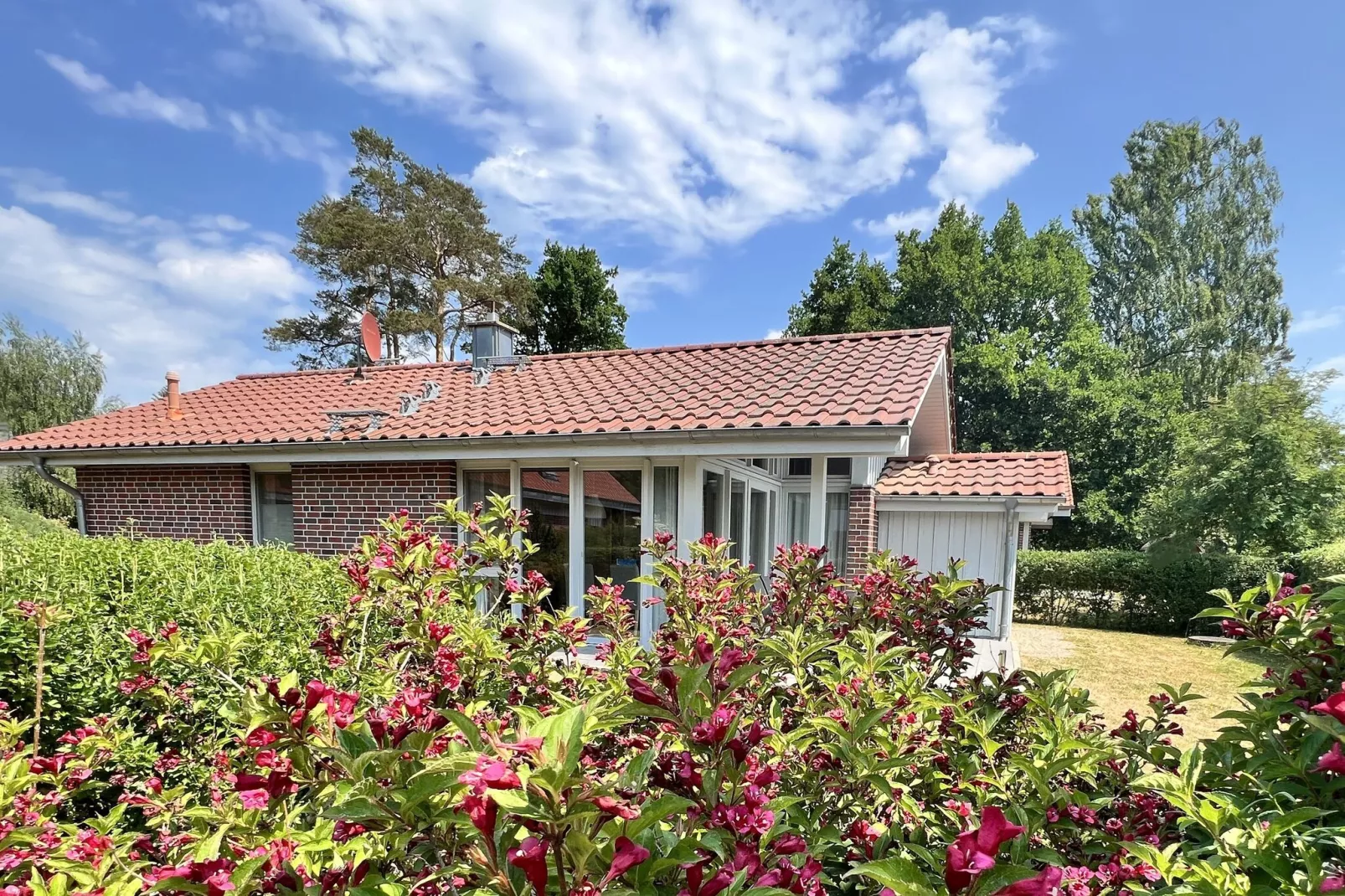 Ferienhaus in Röbel an der Müritz-Exterior summer