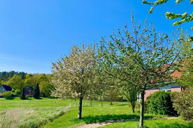 Müritzzeit-Gardens summer