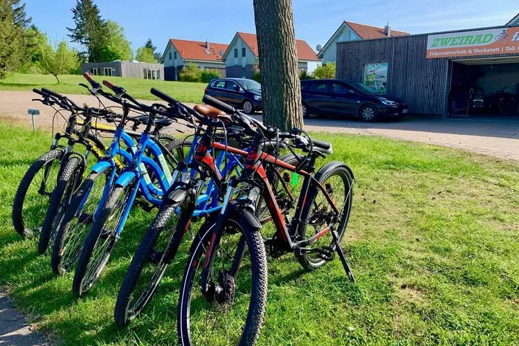 Müritzzeit-Facilities