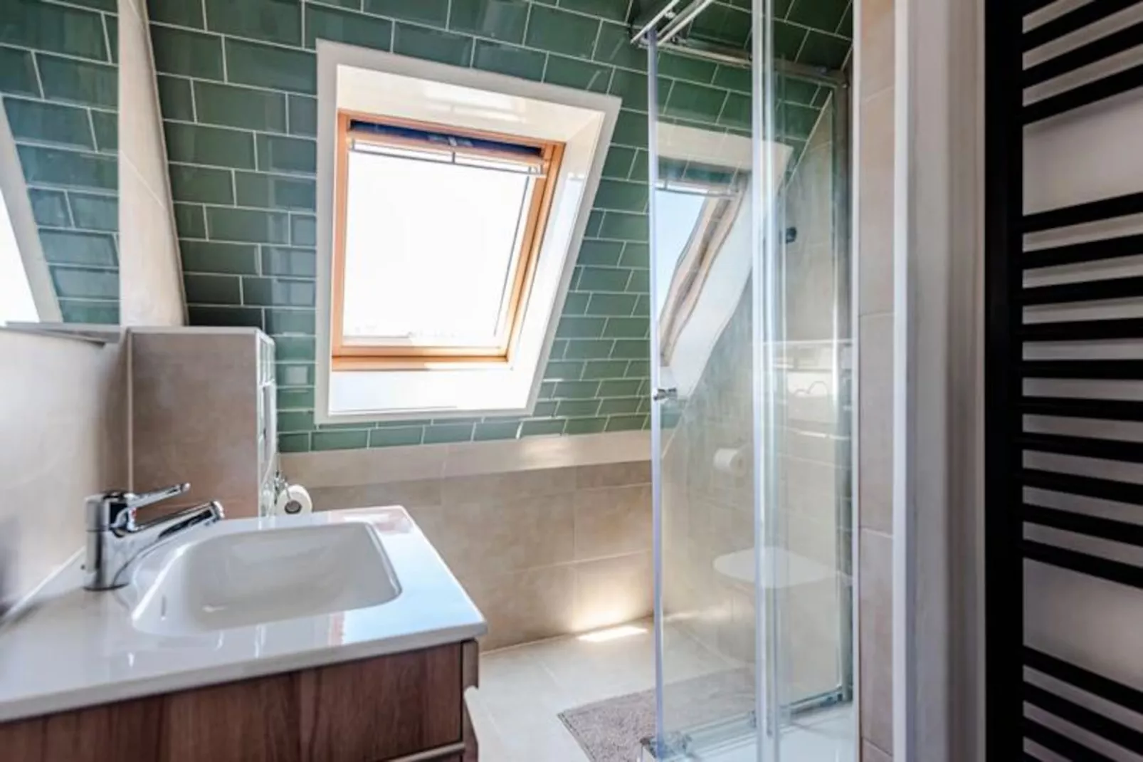 Albatros Aan Zee - Studio-Non tagué