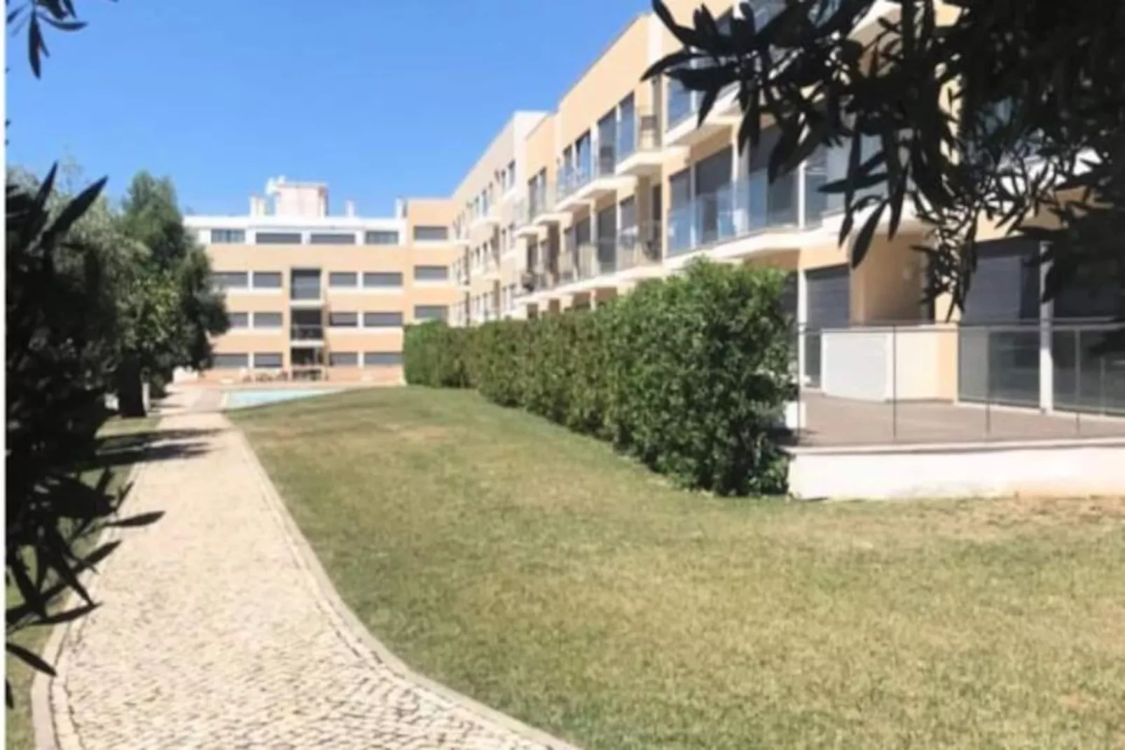 Tavira Flamingos Flat-Non tagué