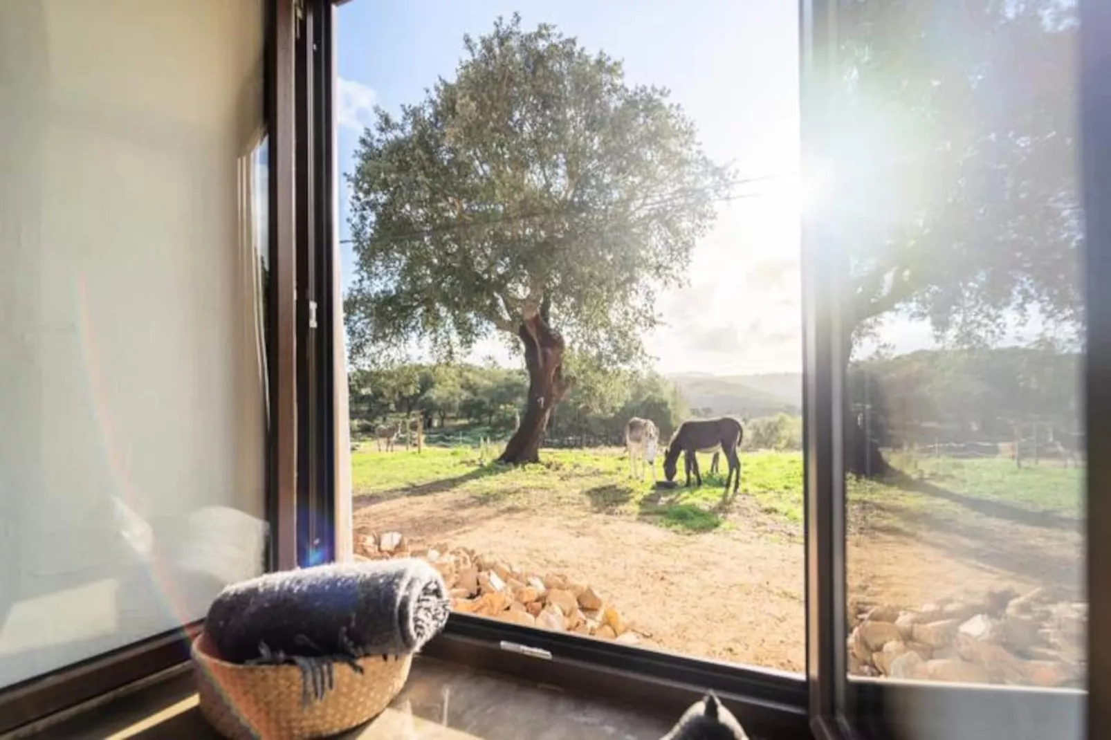 Casinha Da Paz-Untagged