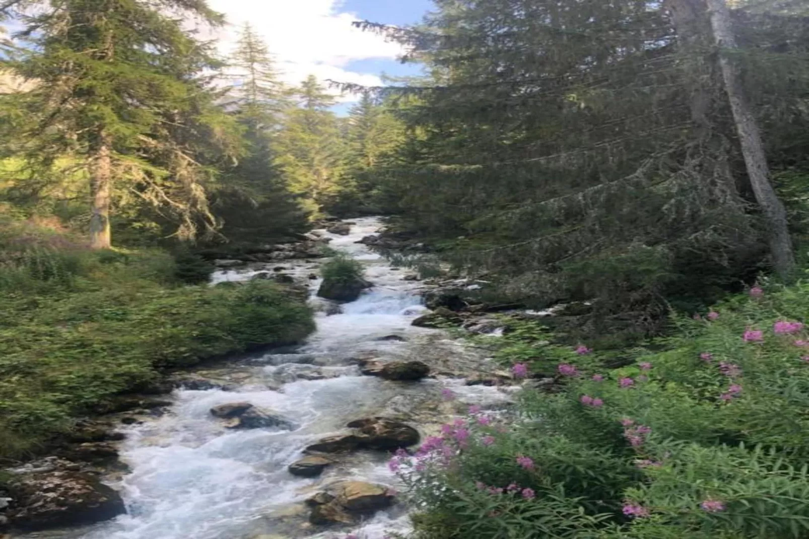 Chalets Les Amis 2-Areas within 20km in summer