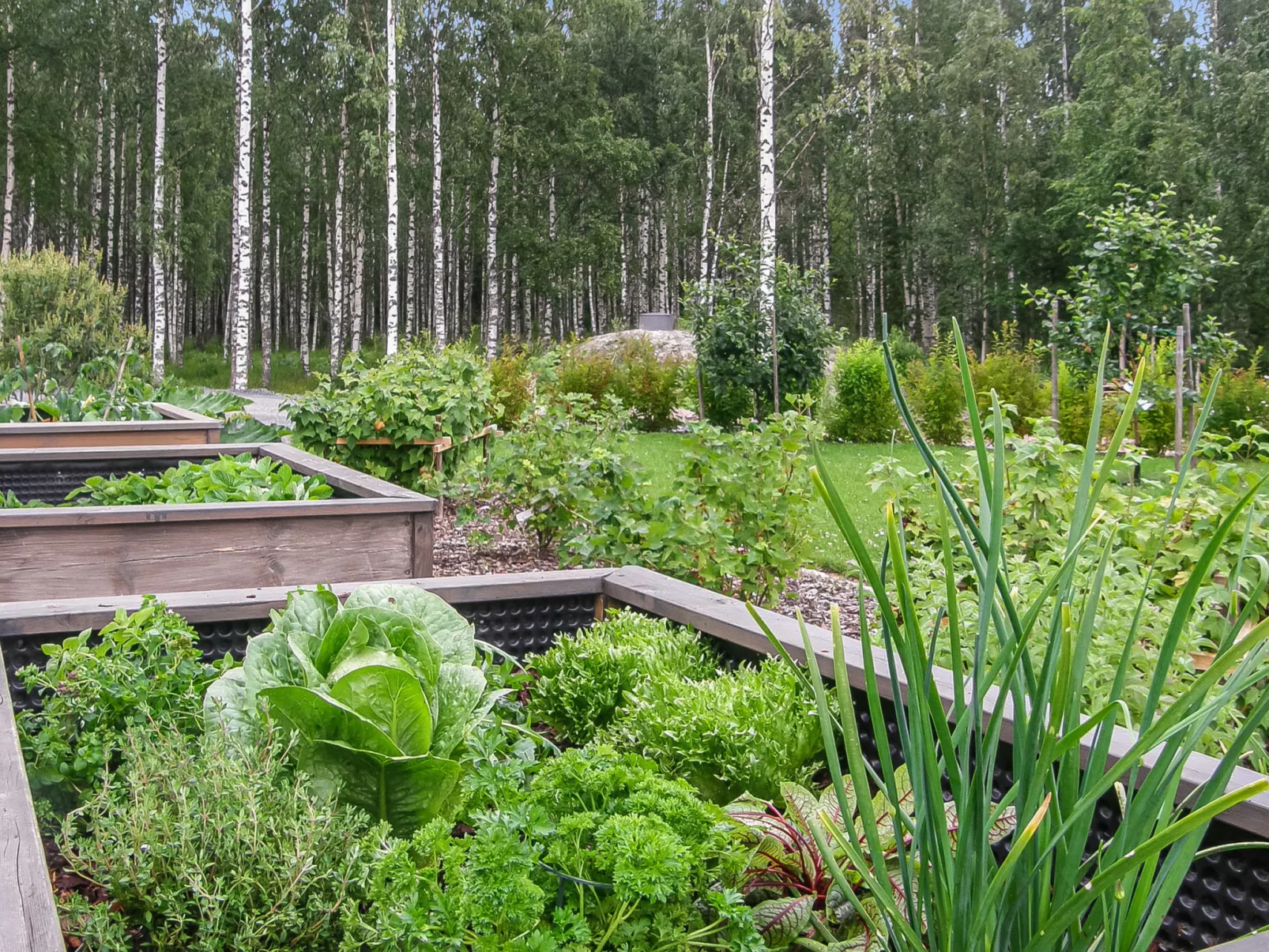 Villa paasirinne a-Dedans