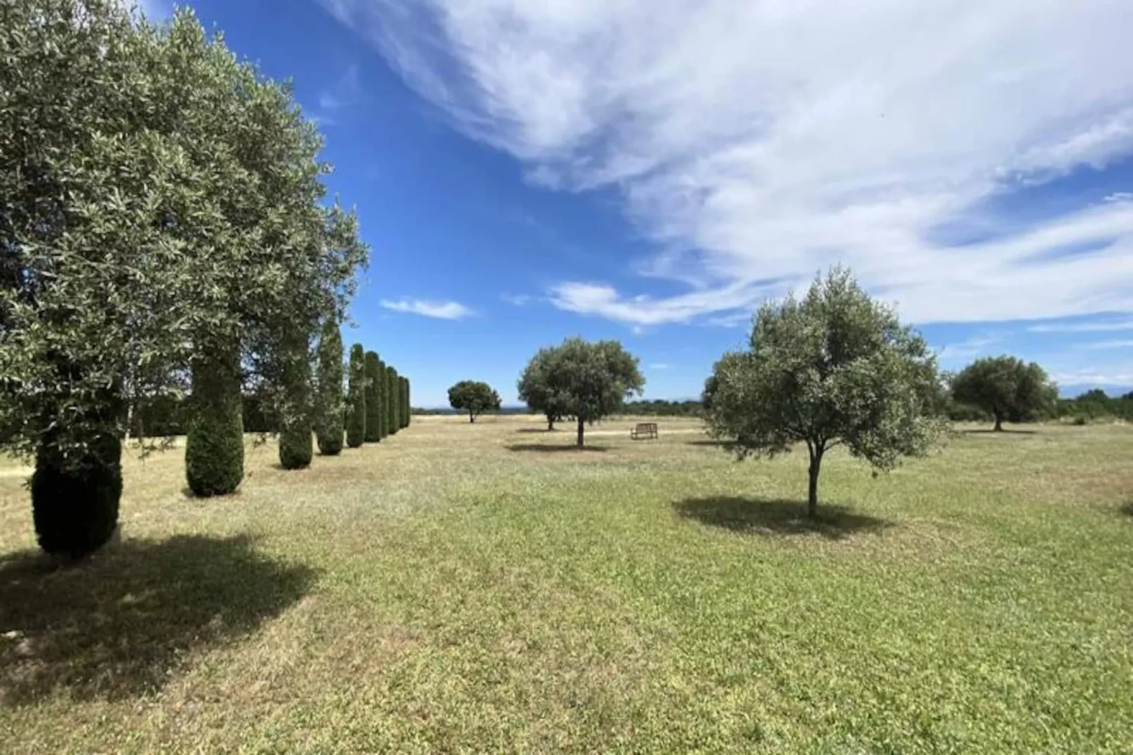 Magnifique Appartement Au C&oelig;ur Des Champs De Lavande - 6 - 7 Personnes-Non tagué