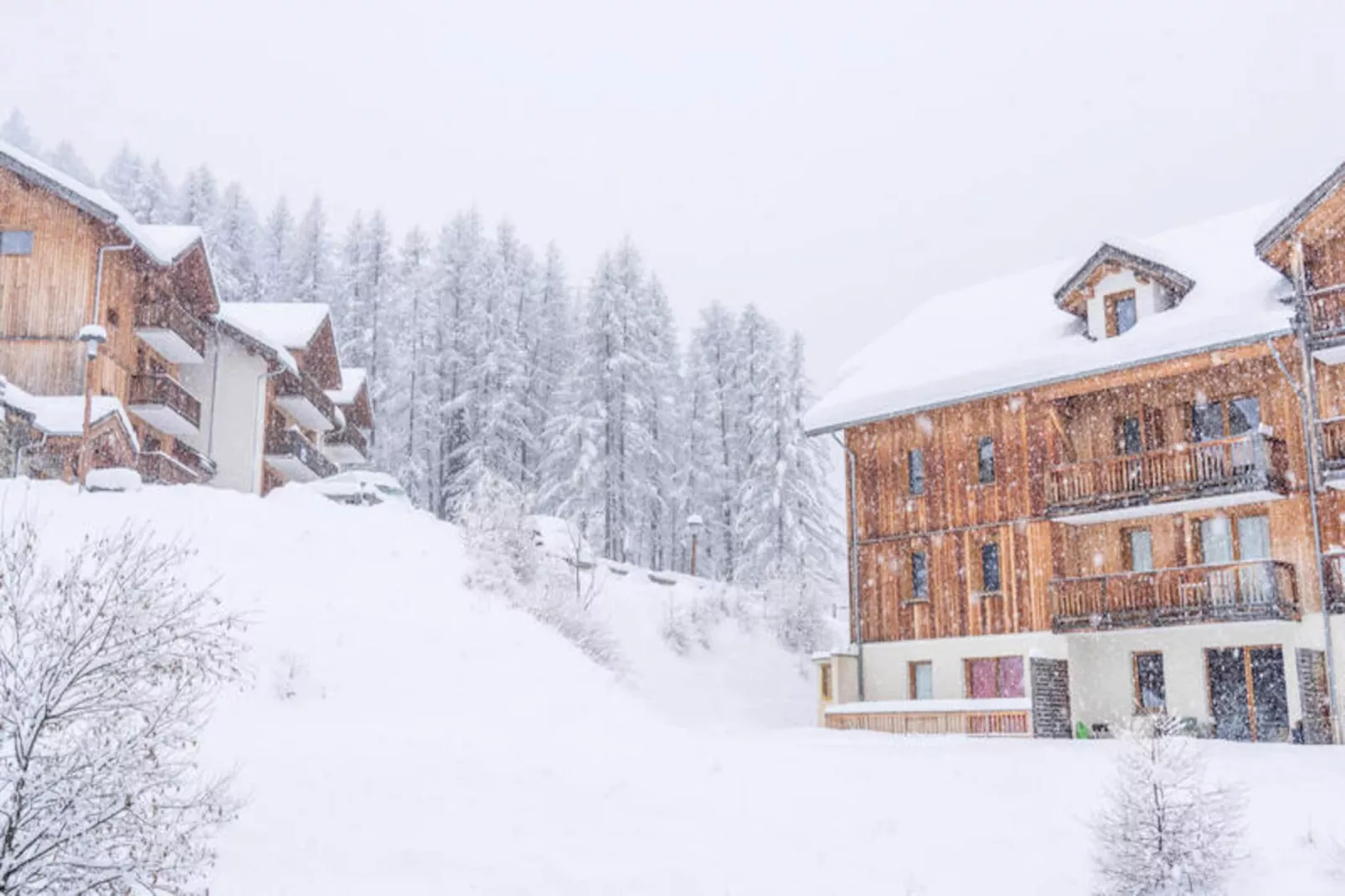 Résidence Les Terrasses Du Soleil D'or-Non tagué