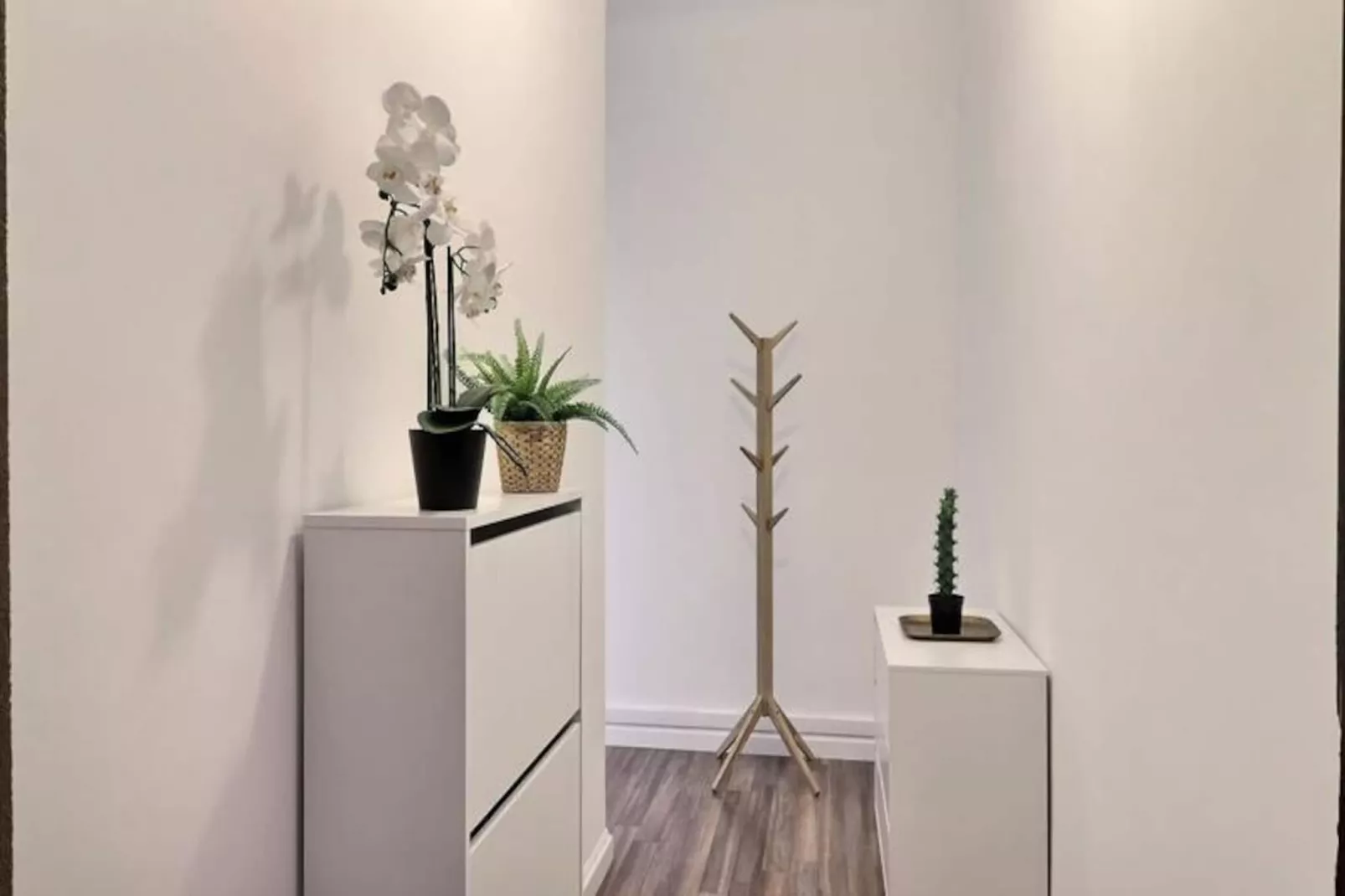 Casa Napol&eacute;on - Hyper Centre-Untagged