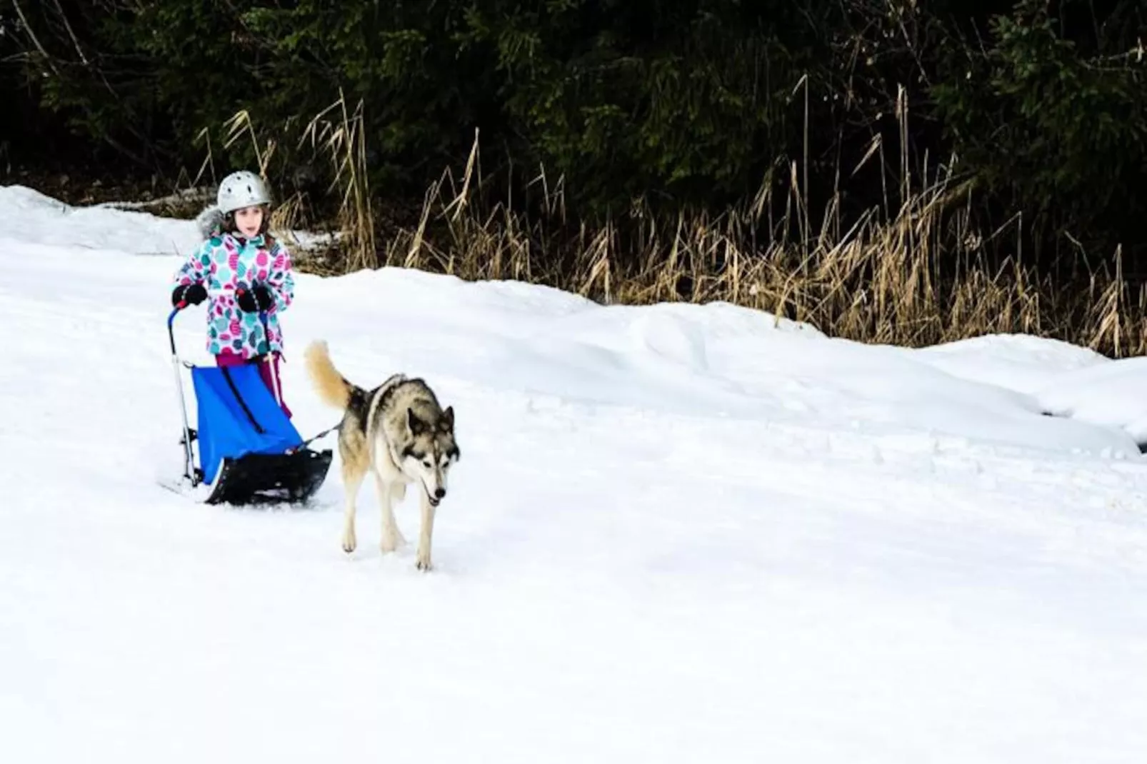 Résidence L'edelweiss-planay-Non tagué