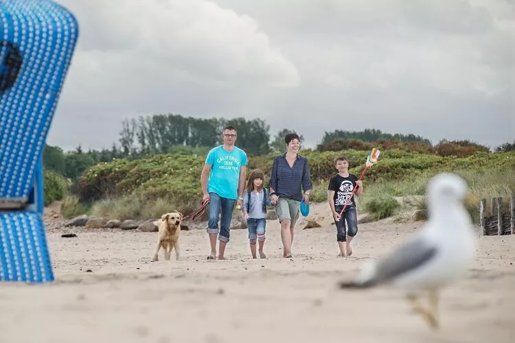 Ostseeresort Dampland-Reihenhaus Normalpreis-Zones d'été à 1 km