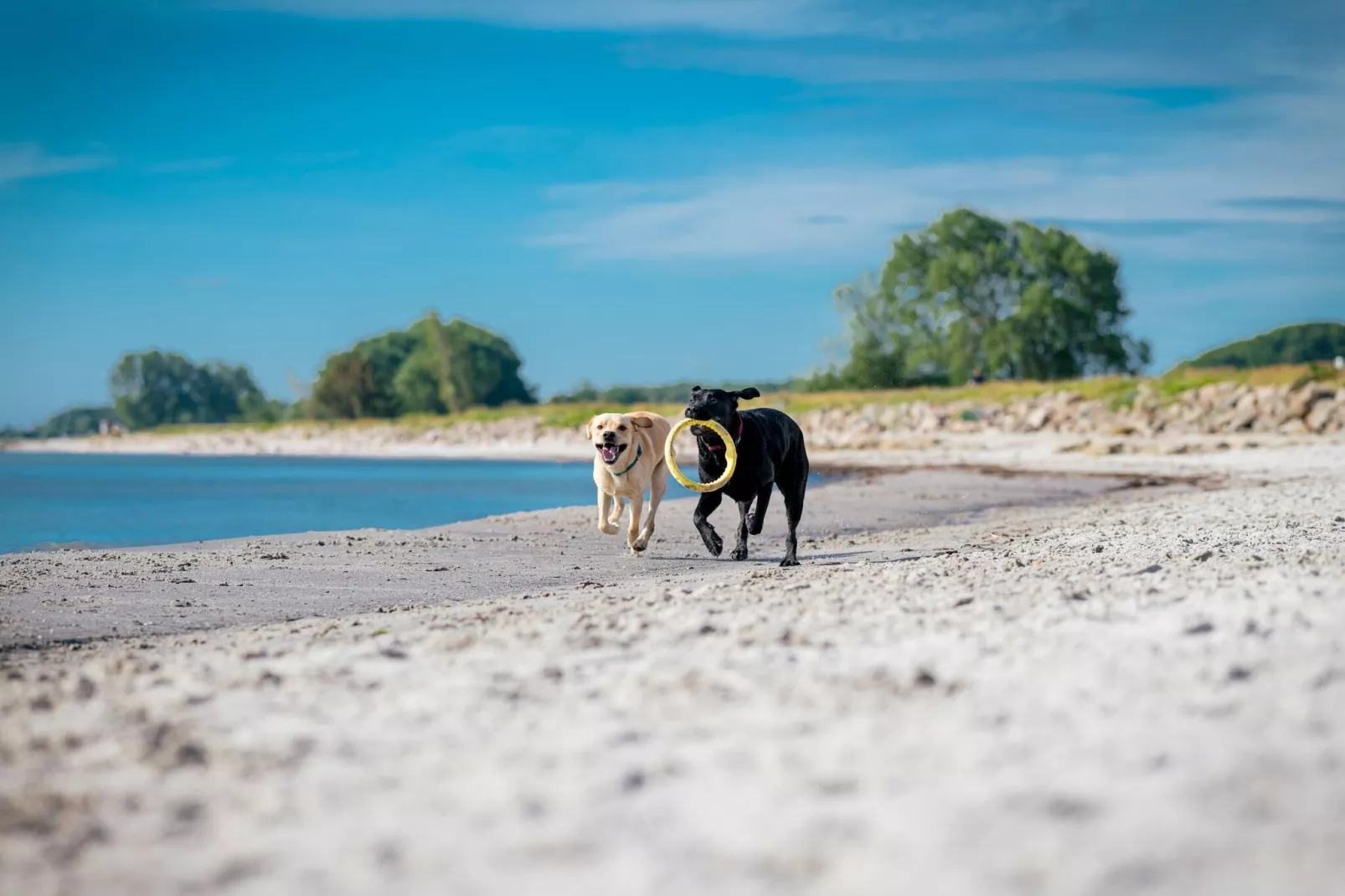 Ostseeresort Dampland-Reihenhaus Normalpreis-Zones d'été à 1 km