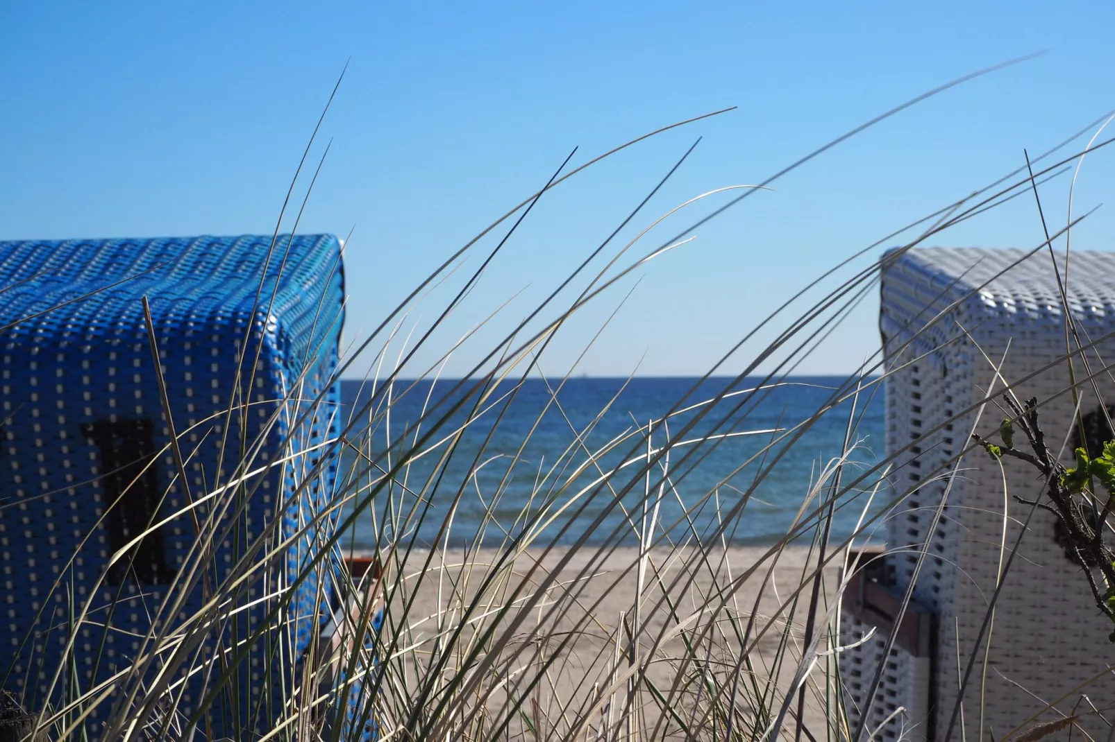 Ostseeresort Dampland-Reihenhaus Normalpreis-Zones d'été à 1 km