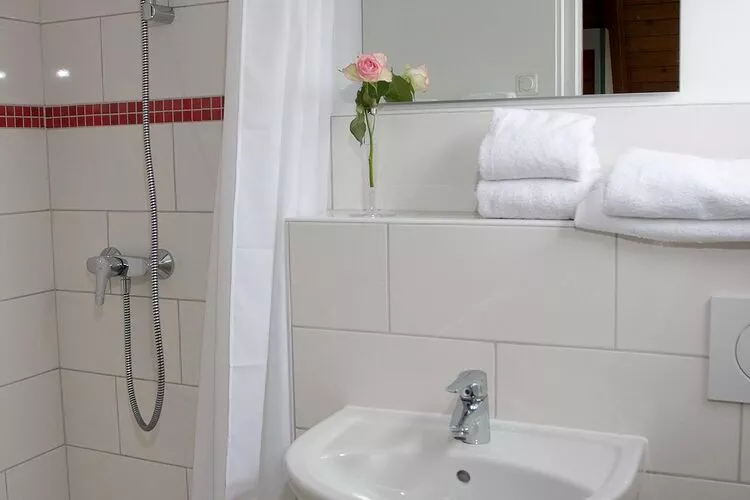 Nurdachhaus Sparpreis 65 qm-Bathroom