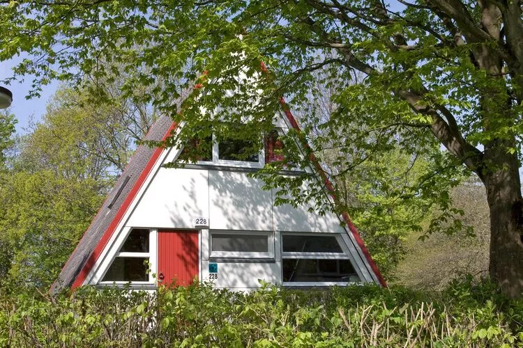Nurdachhaus Sparpreis 65 qm-Exterior summer